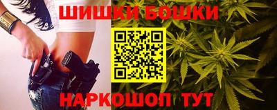 сатива Будённовск