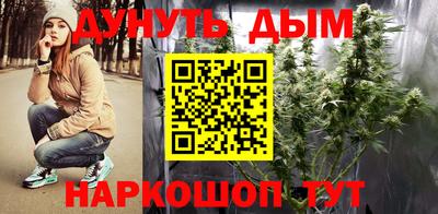 сатива Бугуруслан
